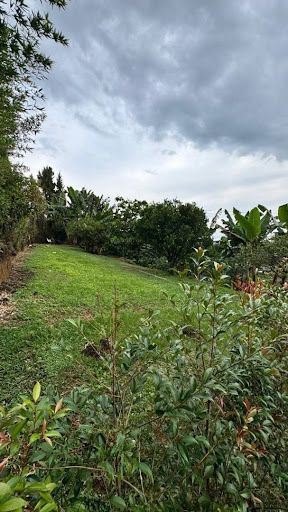 Lote en venta Risaralda Pereira Ur San Marcos 1000 m2 Habitaciones 0 Baños 0 Garajes 0 Precio $300000000