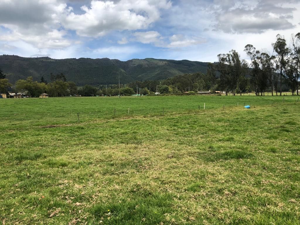 Finca en venta Cundinamarca Gachancipá Centro 1800 m2 Habitaciones 3 Baños 2 Garajes 0 Precio $7500000000