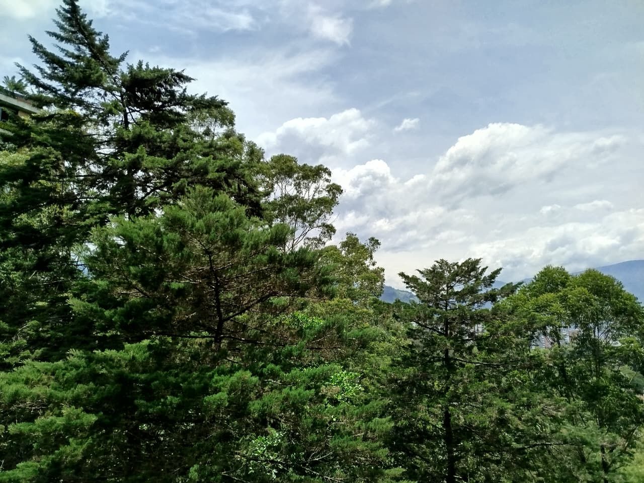 Apartamento en arriendo Antioquia Medellín San Lucas 170 m2 Habitaciones 3 Baños 3 Garajes 0 Precio $10000000