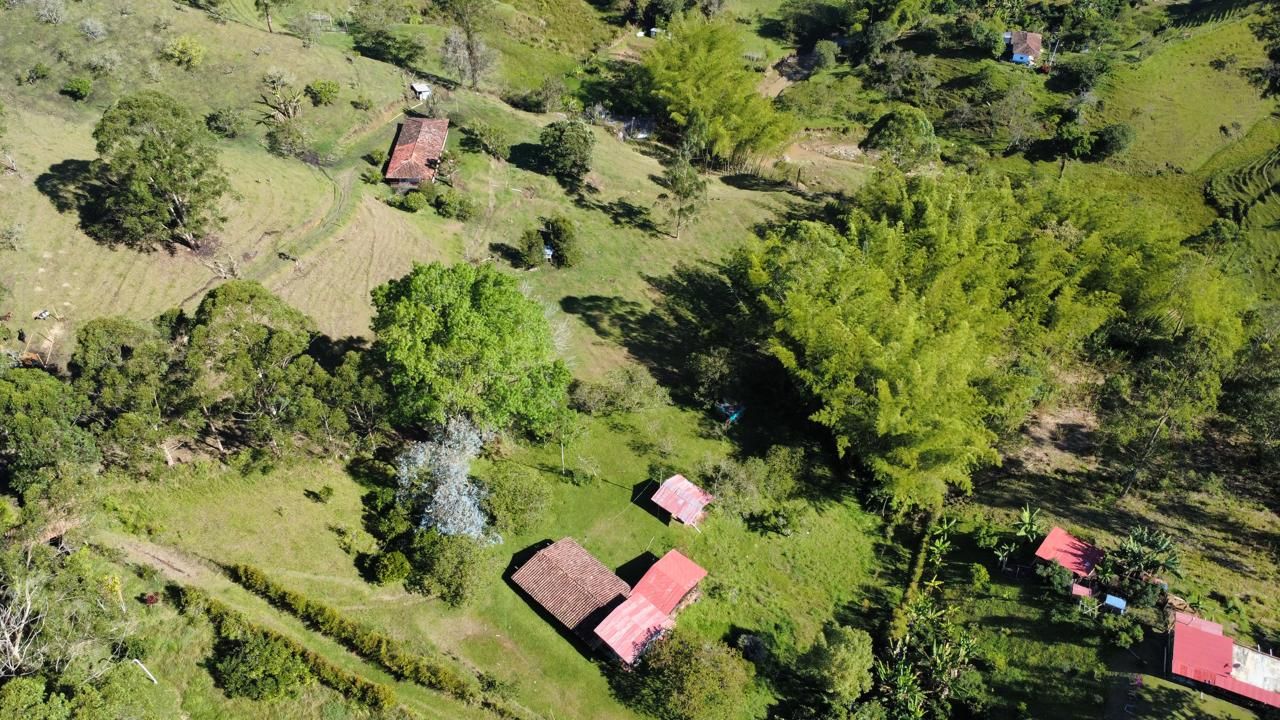Lote Rural en venta Antioquia Peñol Peñol 11000 m2 Habitaciones 0 Baños 0 Garajes 0 Precio $560000000