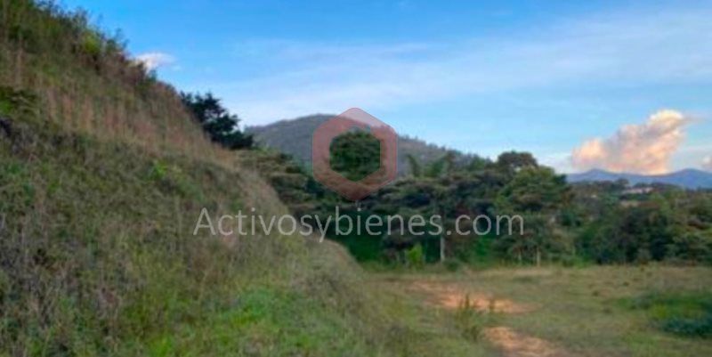 Lote en venta Antioquia Rionegro El Porvenir 2551 m2 Habitaciones 0 Baños 0 Garajes 0 Precio $540000000