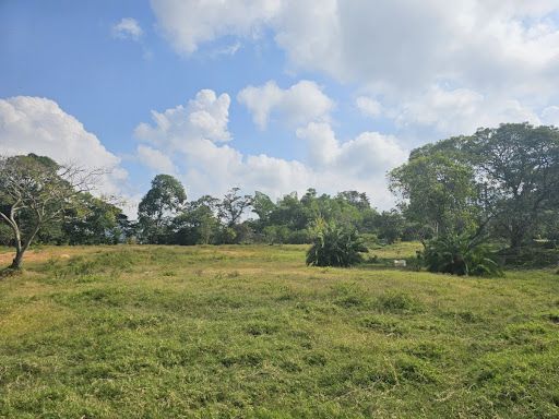 Finca en venta Cundinamarca Arbeláez Arbeláez 30000 m2 Habitaciones 0 Baños 0 Garajes 0 Precio $985000000