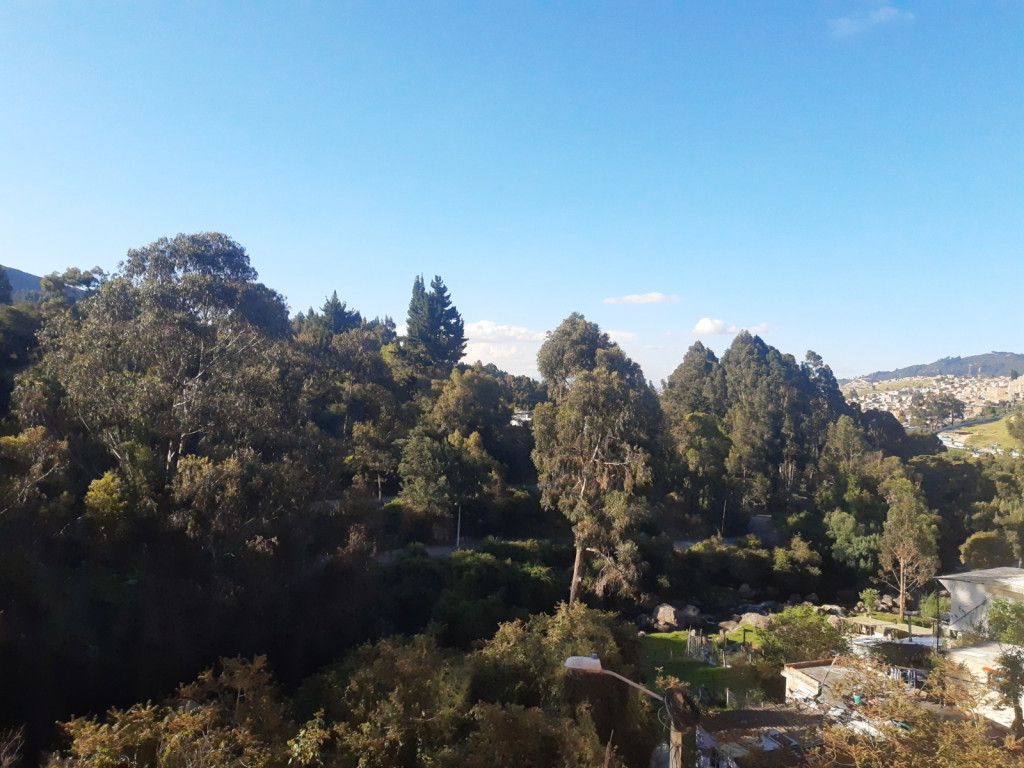 Apartamento en venta Cundinamarca Bogotá El Oasis 45 m2 Habitaciones 2 Baños 1 Garajes 0 Precio $99000000