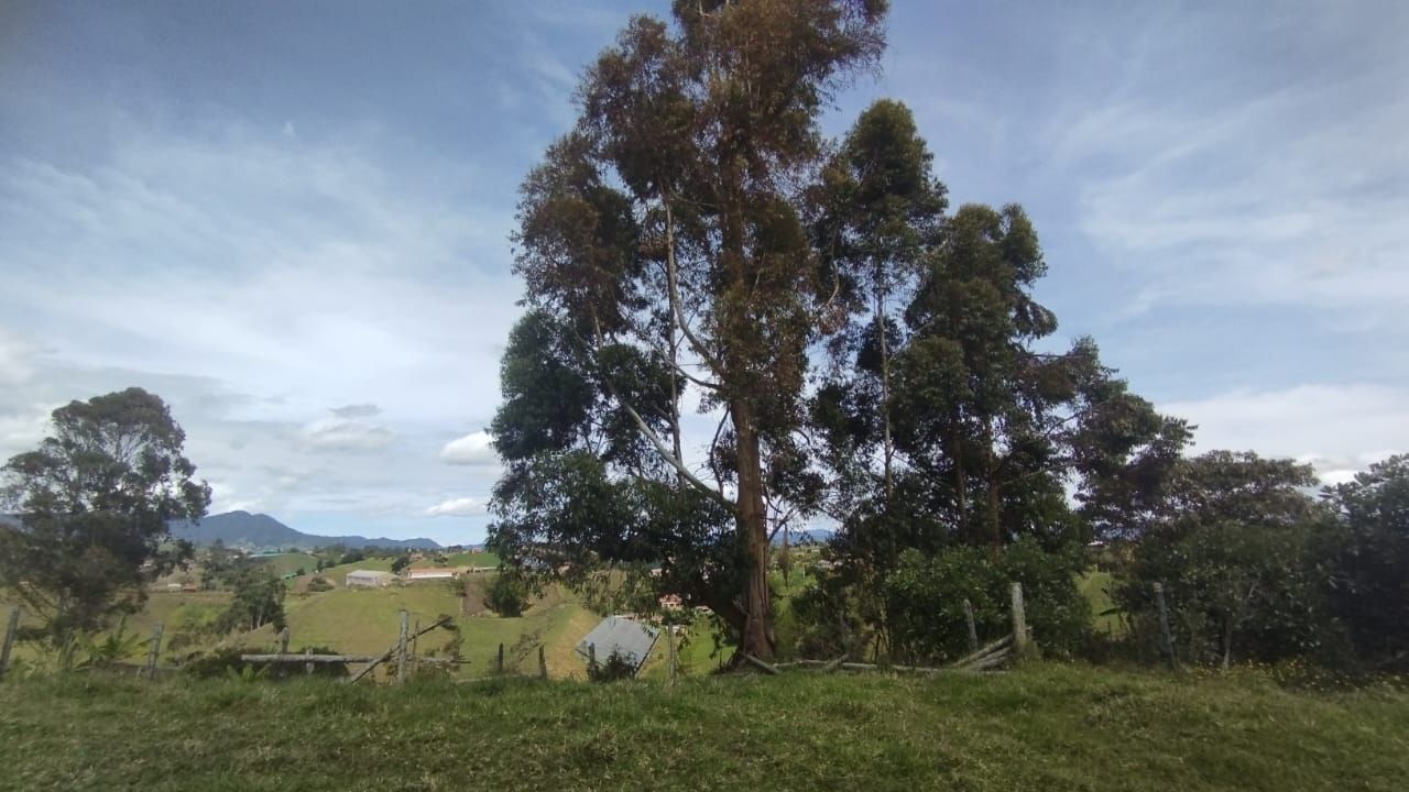 Lote Rural en venta Antioquia El Santuario El Santuario 5006 m2 Habitaciones 0 Baños 0 Garajes 0 Precio $500000000