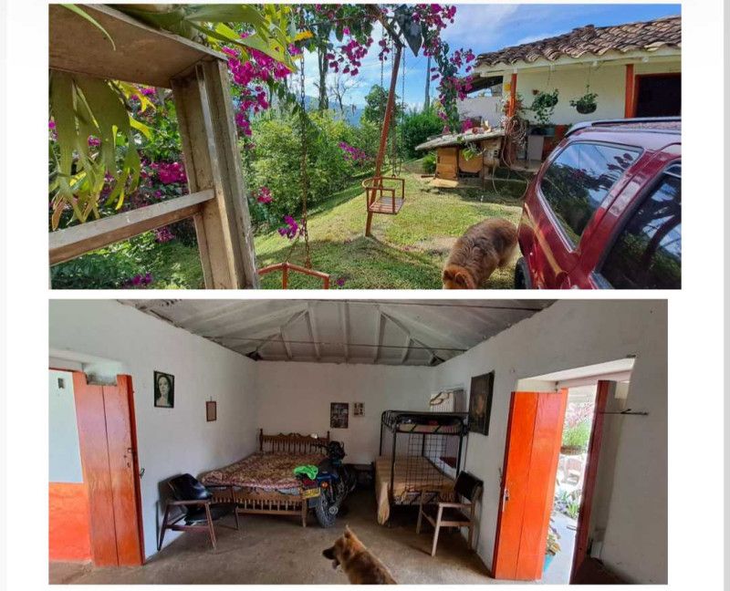 Finca en venta Antioquia Angelópolis Angelopolis 19000 m2 Habitaciones 5 Baños 3 Garajes 0 Precio $1200000000