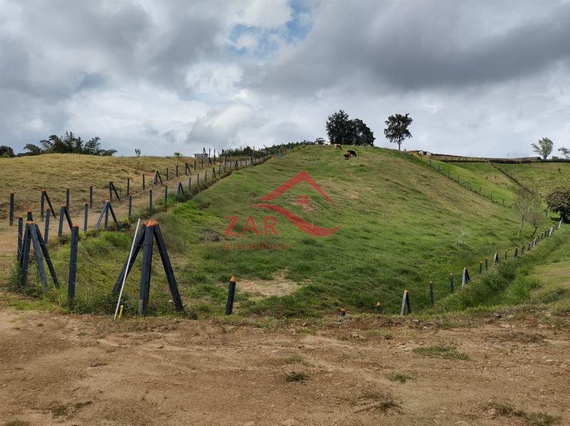Lote en venta Antioquia Marinilla La Dalia 3378 m2 Habitaciones 0 Baños 0 Garajes 0 Precio $430000000