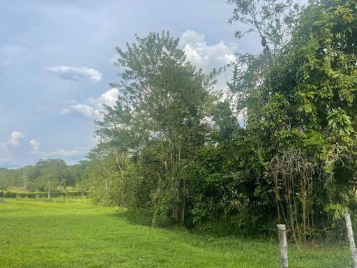 Lote en venta Risaralda Pereira Pereira 2553 m2 Habitaciones 0 Baños 0 Garajes 0 Precio $294000000