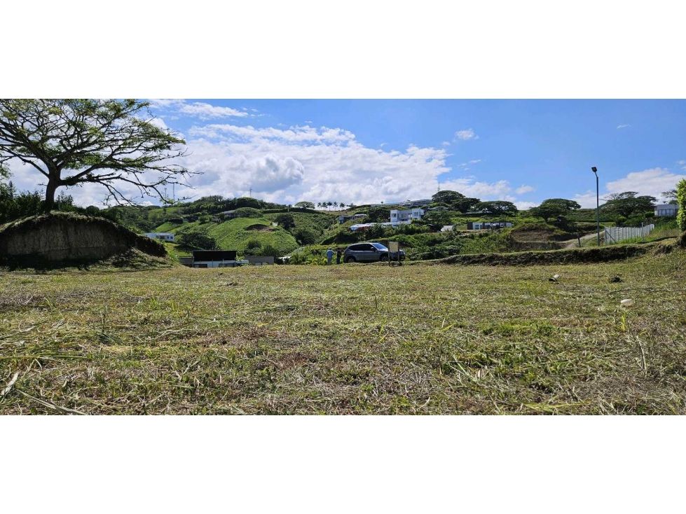 Lote en venta Risaralda Pereira Pereira 1958 m2 Habitaciones 0 Baños 0 Garajes 0 Precio $499000000