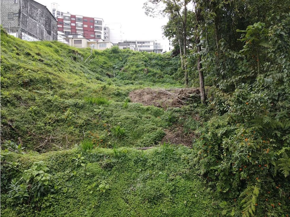 Lote en venta Caldas Manizales El Centro 2 m2 Habitaciones 0 Baños 0 Garajes 0 Precio $6936000000