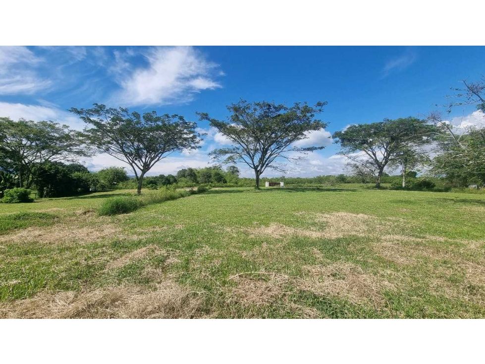 Lote en venta Quindío Montenegro Montenegro 2500 m2 Habitaciones 0 Baños 0 Garajes 0 Precio $375000000