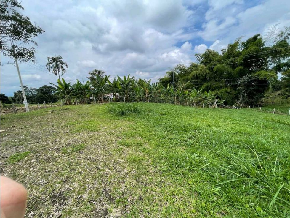 Lote en venta Quindío Filandia Filandia 1600 m2 Habitaciones 0 Baños 0 Garajes 0 Precio $350000000