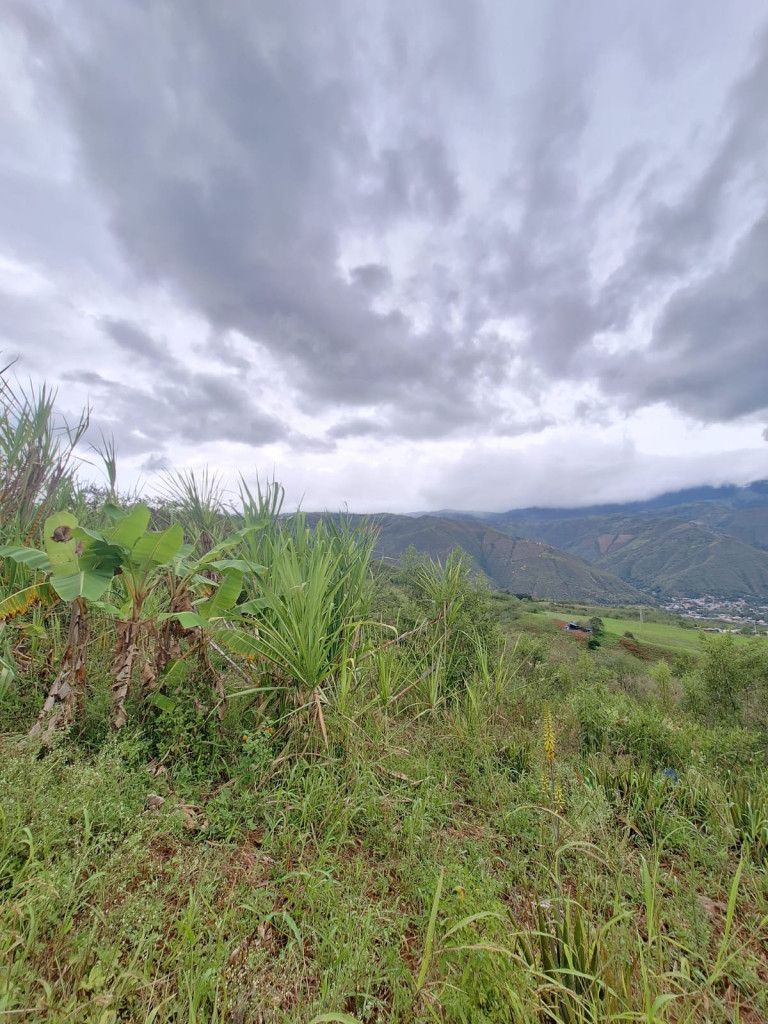Lote en venta Valle Del Cauca Dagua Ricaurte 0 m2 Habitaciones 0 Baños 0 Garajes 0 Precio $180000000