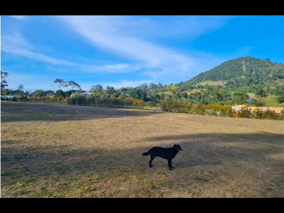 Lote en venta Antioquia La Ceja La Ceja 2720 m2 Habitaciones 0 Baños 0 Garajes 0 Precio $720000000