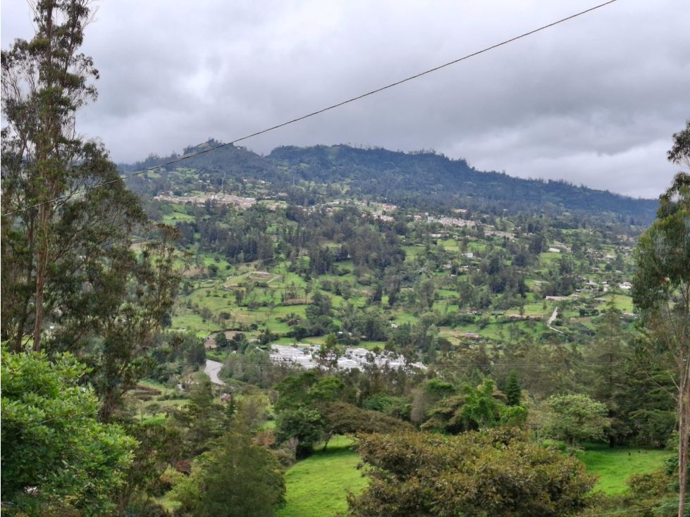 Lote en venta Boyacá Jenesano Jenesano 2800 m2 Habitaciones 0 Baños 0 Garajes 0 Precio $140000000