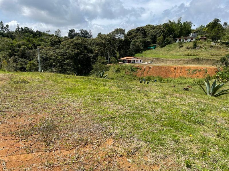 Lote en venta Antioquia El Santuario Vista Hermosa 1300 m2 Habitaciones 0 Baños 0 Garajes 0 Precio $300000000