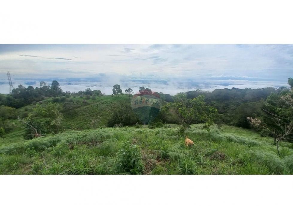 Finca en venta Tolima Armero Armero 190 m2 Habitaciones 2 Baños 1 Garajes 20 Precio $570000000