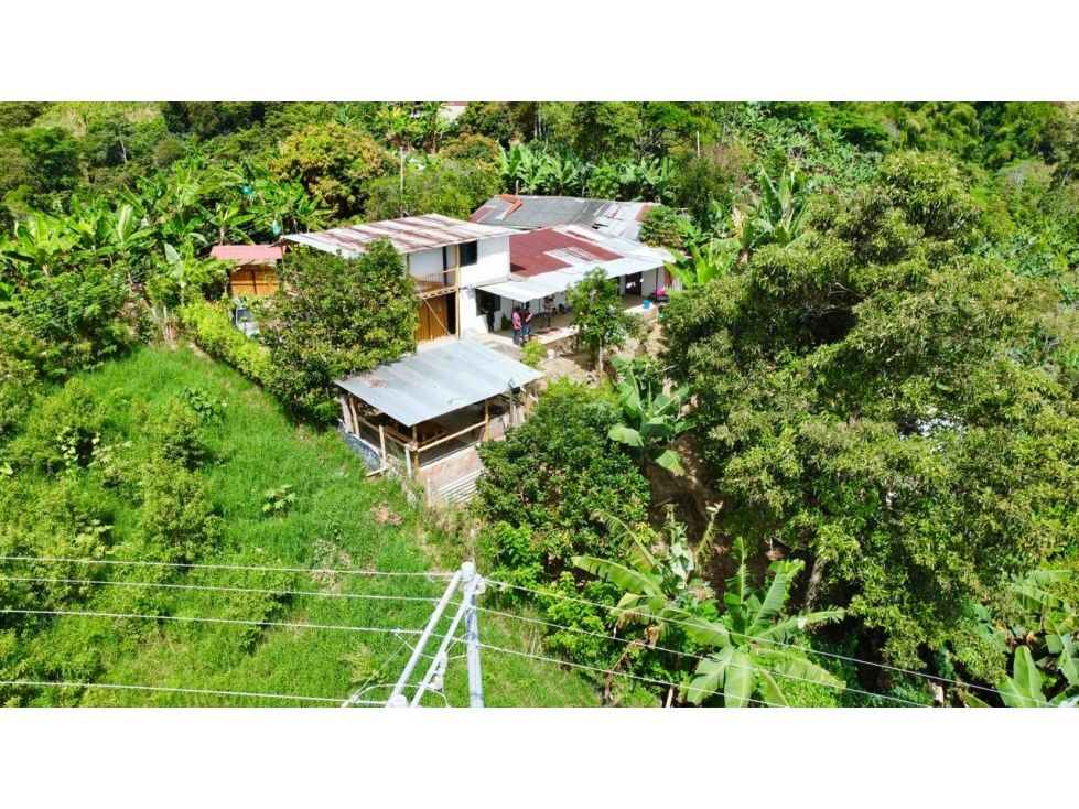 Finca en venta Quindío Calarcá Calarcá 30000 m2 Habitaciones 4 Baños 2 Garajes 5 Precio $455000000