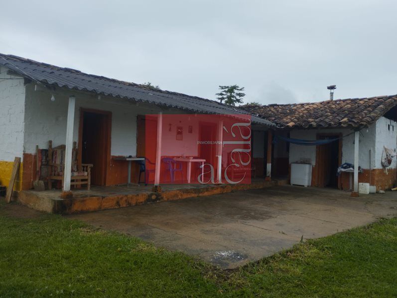 Finca en venta Antioquia Yolombó Yolombó 3100000 m2 Habitaciones 0 Baños 0 Garajes 0 Precio $550000000