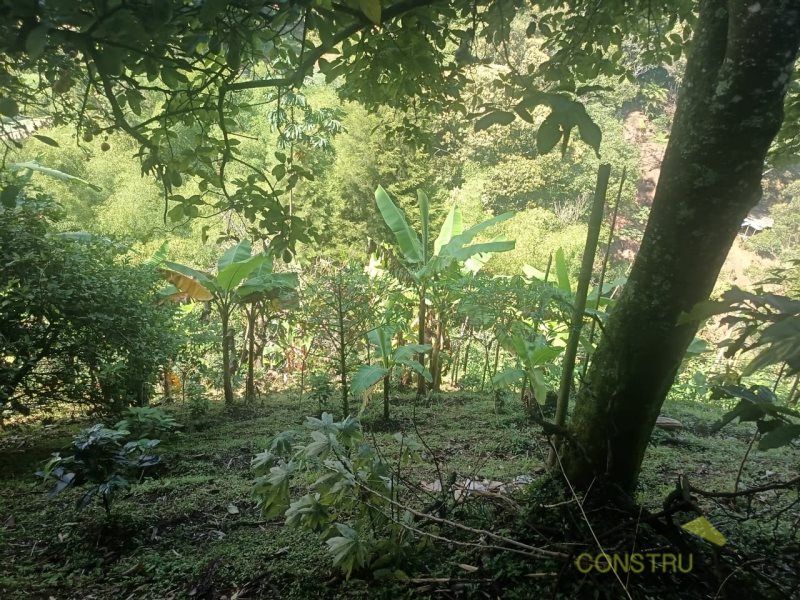 Lote en venta Antioquia Sabaneta Sabaneta 4000 m2 Habitaciones 0 Baños 0 Garajes 0 Precio $650000000