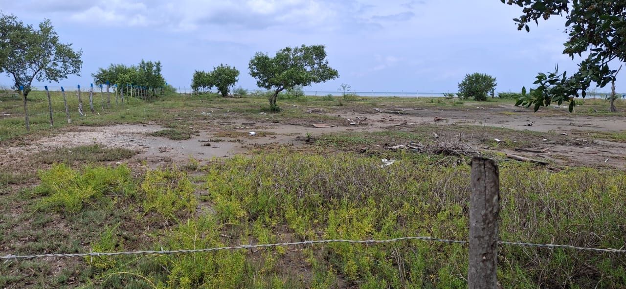 Lote en venta Bolívar Cartagena Cartagena 13500 m2 Habitaciones 0 Baños 0 Garajes 0 Precio $16200000000