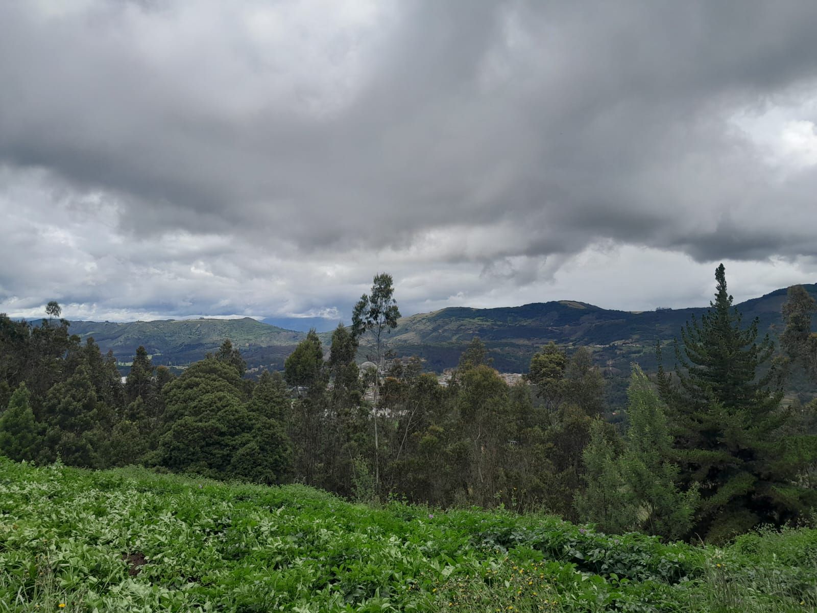 Finca en venta Cundinamarca Suesca Centro 5000000 m2 Habitaciones 4 Baños 1 Garajes 0 Precio $1500000000