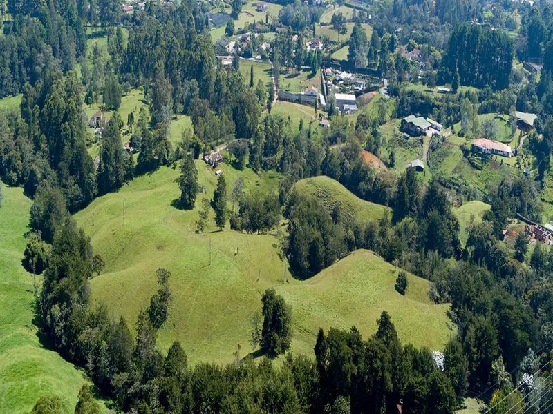 Lote en venta Antioquia La Ceja La Ceja 1000 m2 Habitaciones 0 Baños 0 Garajes 0 Precio $620000000
