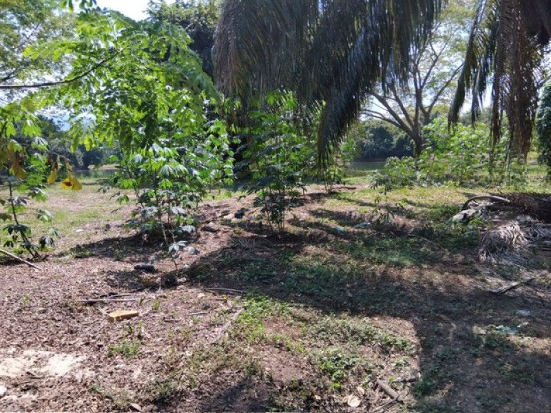 Lote en venta Tolima Melgar Melgar 0 m2 Habitaciones 0 Baños 0 Garajes 0 Precio $220000000