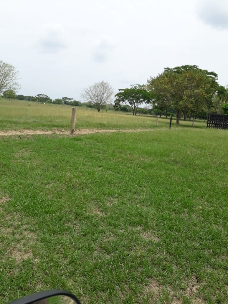 Finca en venta Córdoba Ciénaga De Oro Vereda Boca De Catabre 150000 m2 Habitaciones 3 Baños 1 Garajes 5 Precio $525000000