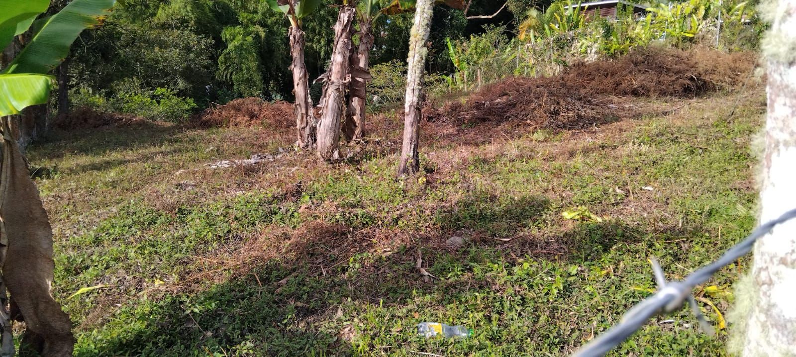 Lote en venta Valle Del Cauca La Cumbre La Cumbre 0 m2 Habitaciones 0 Baños 0 Garajes 0 Precio $130000000