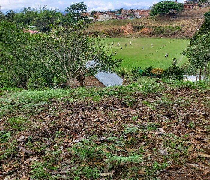 Lote en venta Valle Del Cauca La Cumbre La Cumbre 0 m2 Habitaciones 0 Baños 0 Garajes 0 Precio $135000000