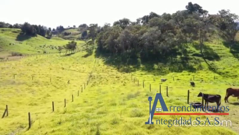 Lote en venta Antioquia San Pedro San Pedro De Los Milagros 1808 m2 Habitaciones 0 Baños 0 Garajes 0 Precio $271200000