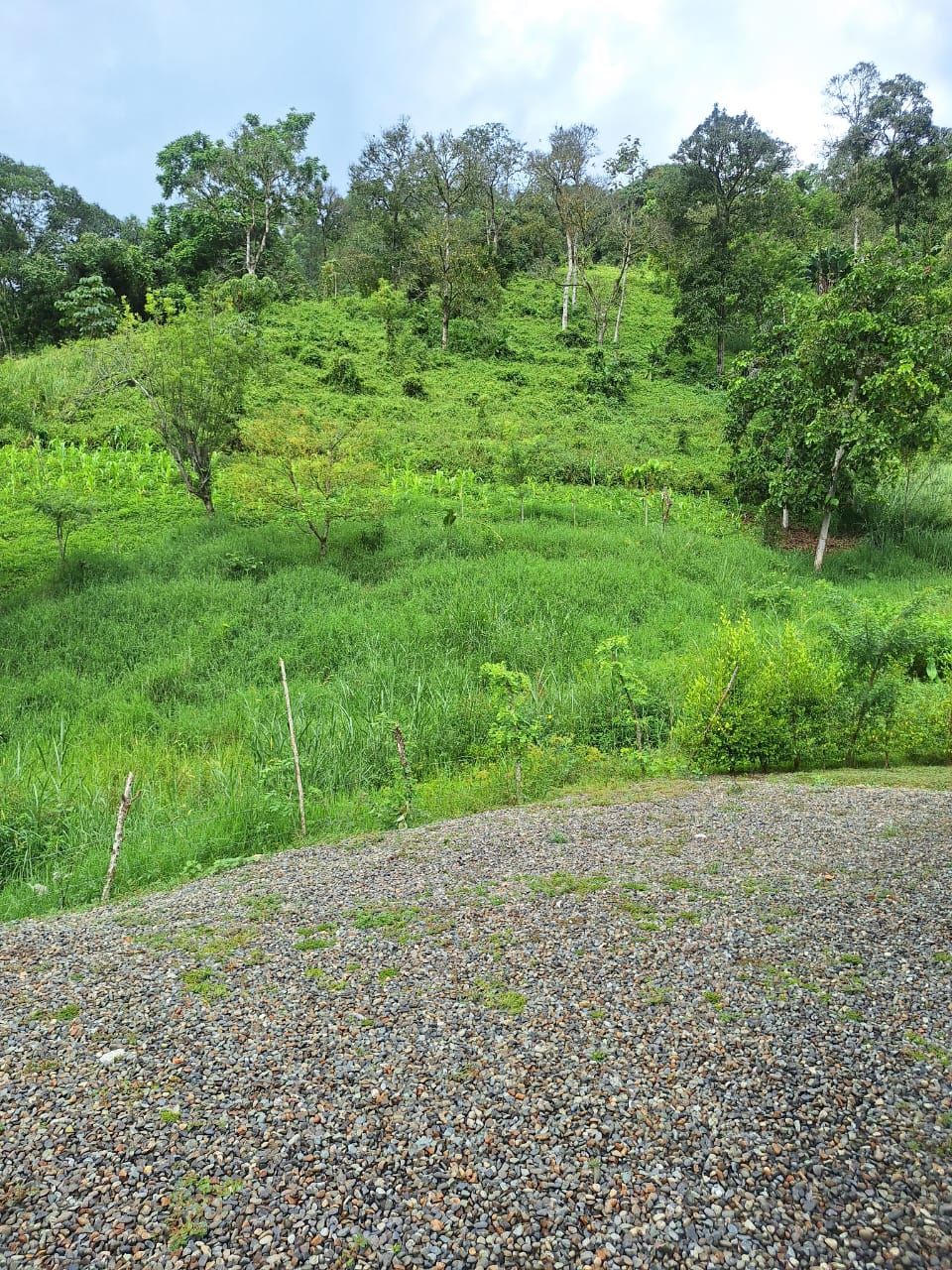 Finca en venta Antioquia Ciudad Bolívar Ciudad Bolívar 350 m2 Habitaciones 6 Baños 5 Garajes 5 Precio $1490000000