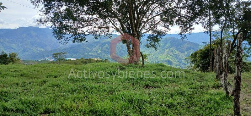 Lote en venta Antioquia Santo Domingo Santo Domingo 1000 m2 Habitaciones 0 Baños 0 Garajes 0 Precio $140000000