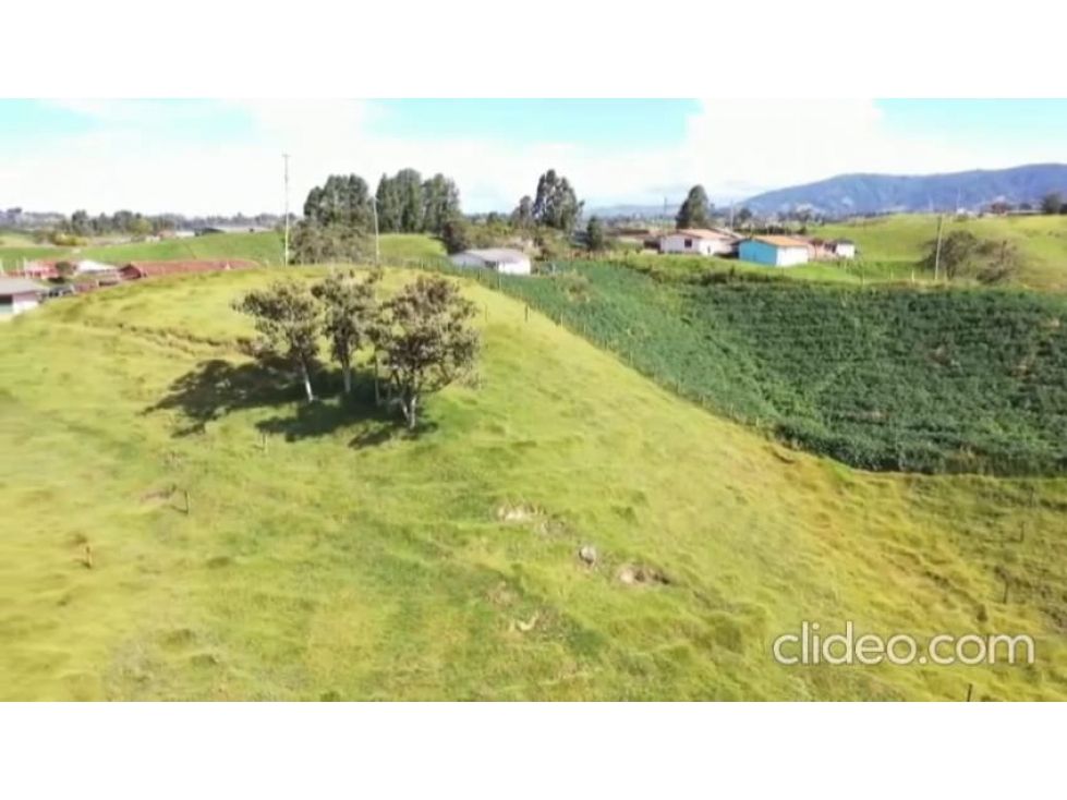 Lote en venta Antioquia Medellín Medellín 1807 m2 Habitaciones 0 Baños 0 Garajes 0 Precio $271000000