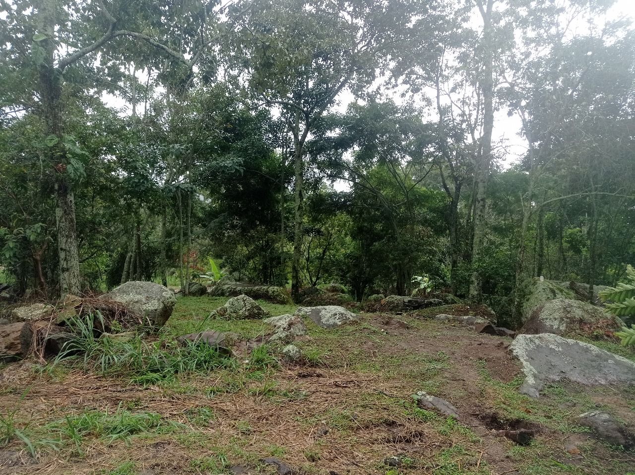 Lote en venta Cundinamarca Zipacón Zipacón 3234 m2 Habitaciones 0 Baños 0 Garajes 0 Precio $220000000