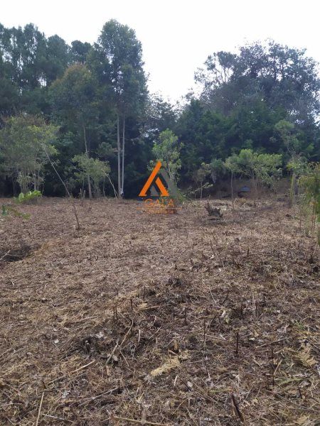 Lote en venta Antioquia Rionegro Centro 9258 m2 Habitaciones 0 Baños 0 Garajes 0 Precio $925800000