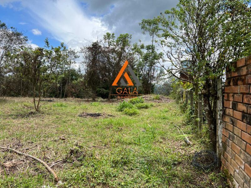 Lote en venta Antioquia Rionegro Centro 7950 m2 Habitaciones 0 Baños 0 Garajes 0 Precio $795000000