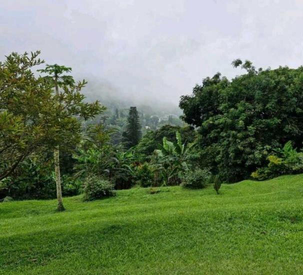 Lote en venta Valle Del Cauca Cali Cali 146 m2 Habitaciones 0 Baños 1 Garajes 0 Precio $999000000