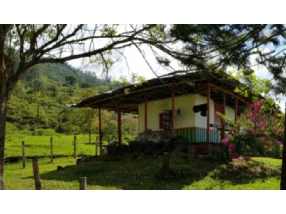 Finca en venta Quindío Calarcá Calarcá 300 m2 Habitaciones 5 Baños 2 Garajes 1 Precio $5000000000