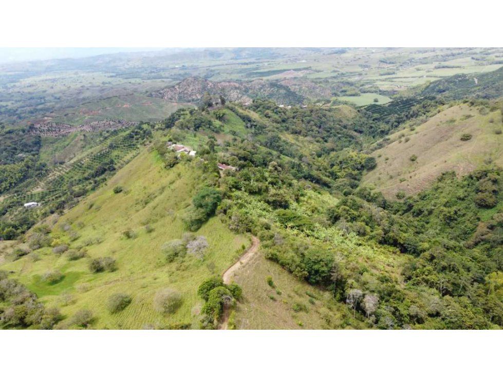 Finca en venta Valle Del Cauca Sevilla Villa Linda 100 m2 Habitaciones 3 Baños 1 Garajes 1 Precio $920000000