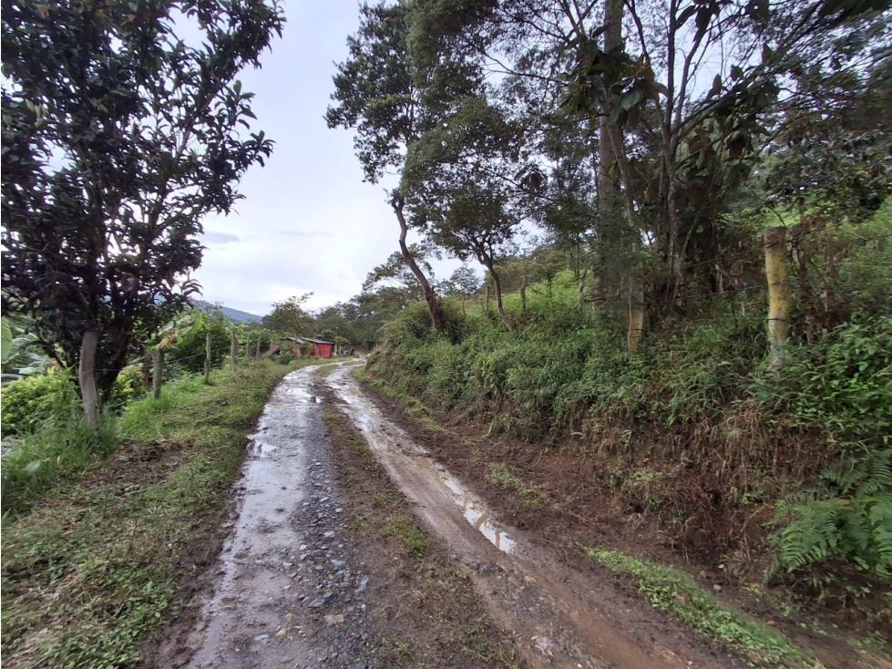 Lote en venta Boyacá Moniquirá Moniquira 200000 m2 Habitaciones 0 Baños 0 Garajes 0 Precio $1000000000