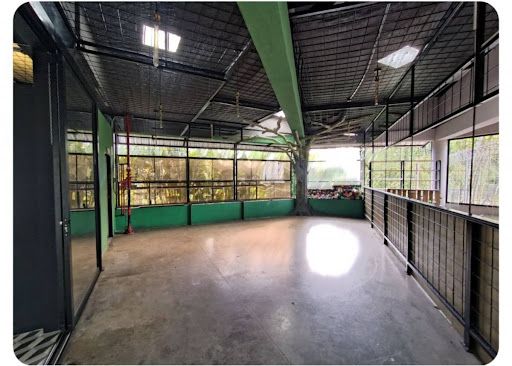 Local en venta Risaralda Dosquebradas Ub La Macarena 73 m2 Habitaciones 0 Baños 1 Garajes 0 Precio $589000000