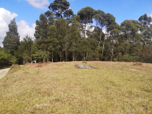 Lote en venta Antioquia Rionegro El Porvenir 9258 m2 Habitaciones 0 Baños 0 Garajes 0 Precio $1018000000
