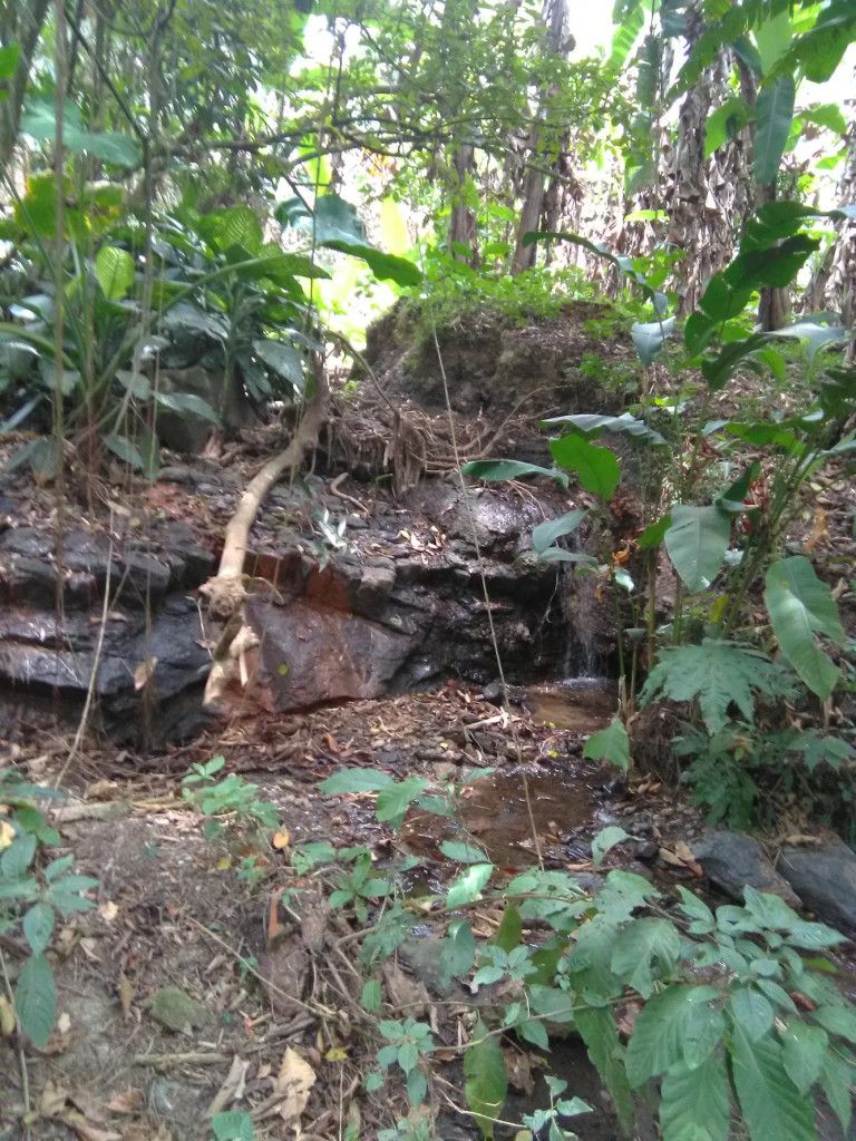 Lote en venta Cundinamarca La Mesa La Mesa 4000 m2 Habitaciones 0 Baños 0 Garajes 0 Precio $110000000