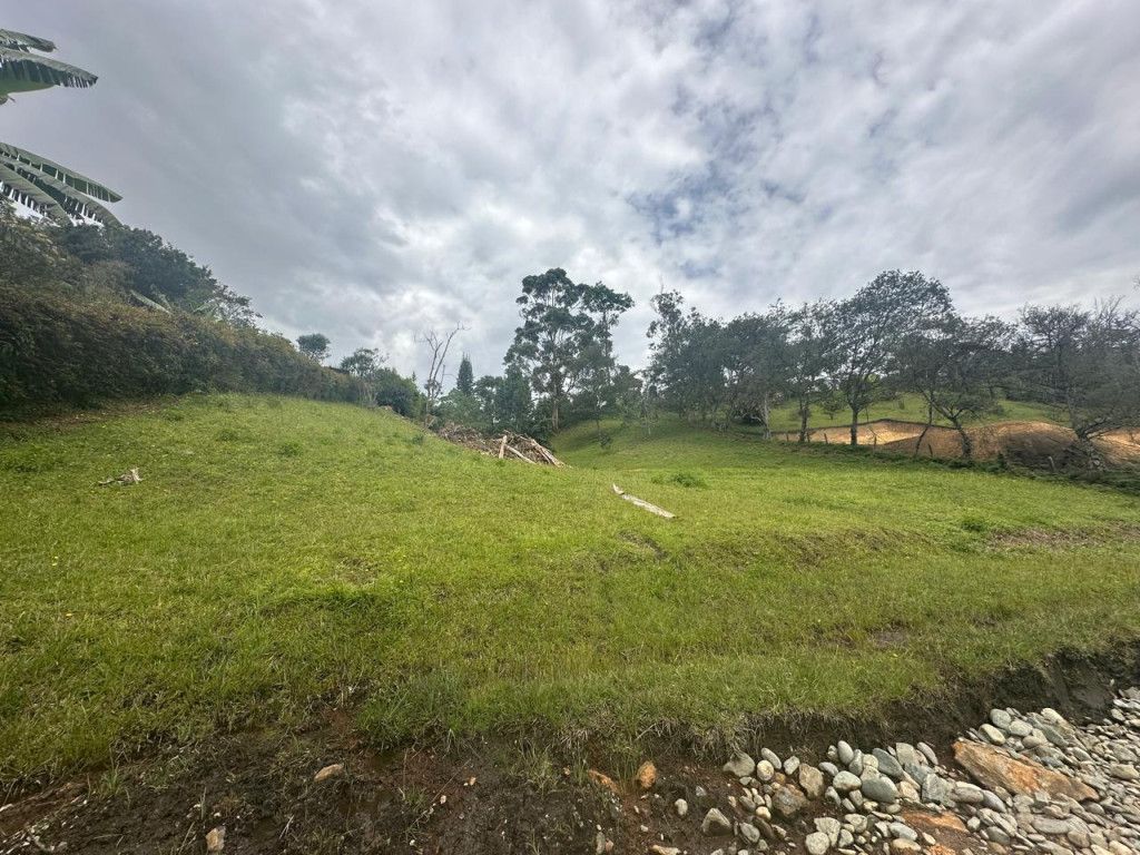 Lote en venta Antioquia Rionegro Centro 0 m2 Habitaciones 0 Baños 0 Garajes 0 Precio $726000000