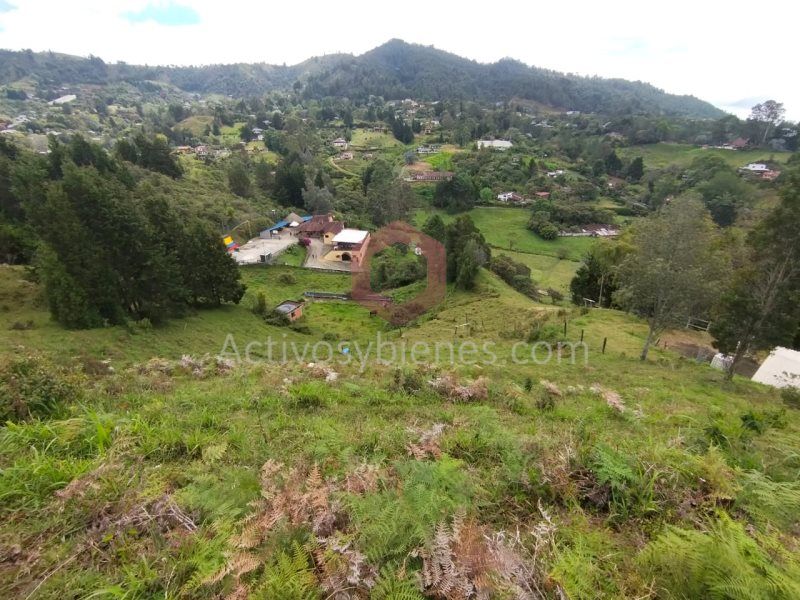 Lote en venta Antioquia Guarne Centro 5000 m2 Habitaciones 0 Baños 0 Garajes 0 Precio $550000000