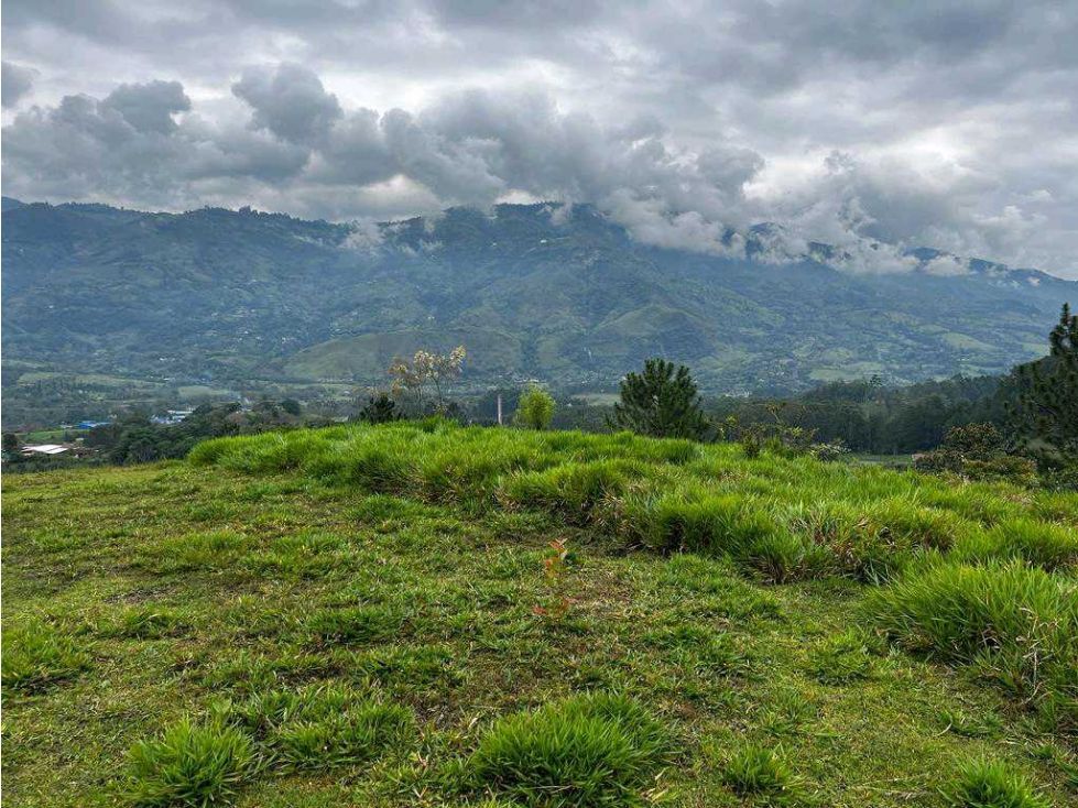 Lote en venta Antioquia Barbosa Barbosa 5000 m2 Habitaciones 0 Baños 0 Garajes 0 Precio $600000000