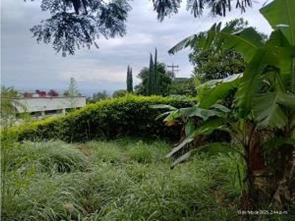 Lote en venta Valle Del Cauca Jamundí Jamundí 4234 m2 Habitaciones 0 Baños 0 Garajes 0 Precio $600000000