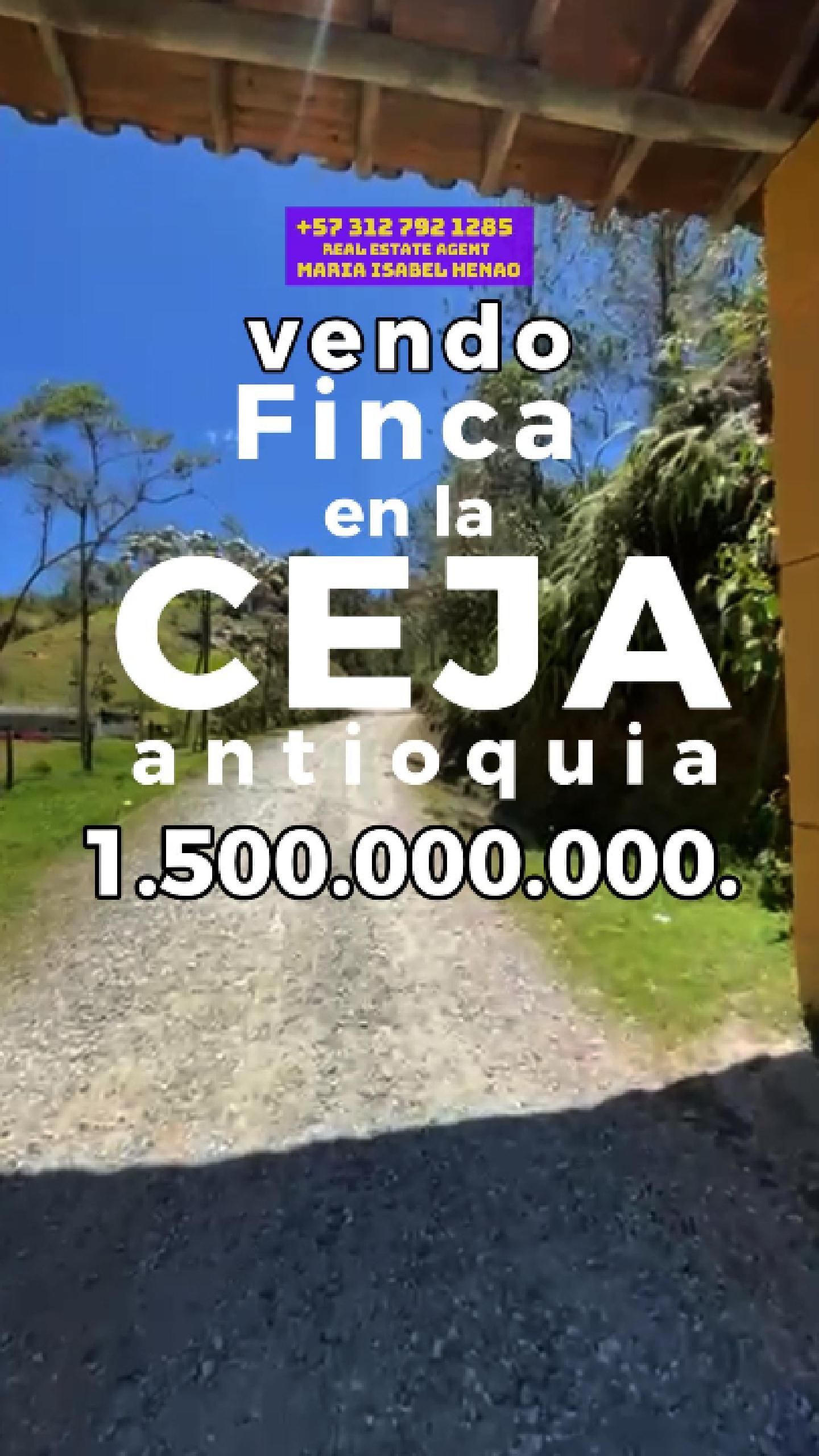 Finca en venta Antioquia La Ceja Centro 80 m2 Habitaciones 2 Baños 2 Garajes 6 Precio $1500000000