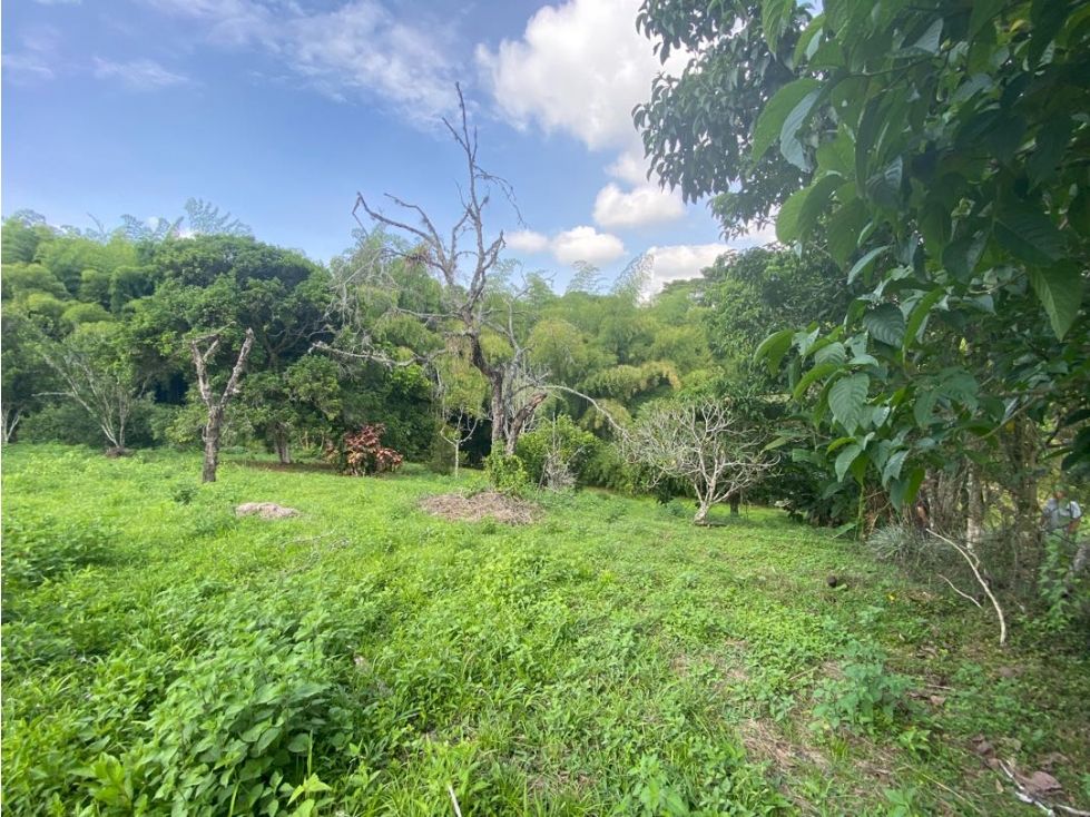 Lote en venta Risaralda Pereira Pereira 19200 m2 Habitaciones 0 Baños 0 Garajes 0 Precio $3456000000